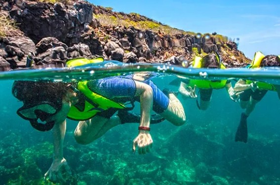Snorkeling