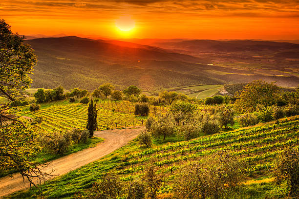 Tuscan Sunset